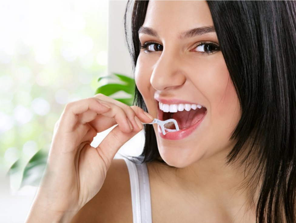 Biodegradable Dental Floss Picks 30 Pcs Bentodent Americas